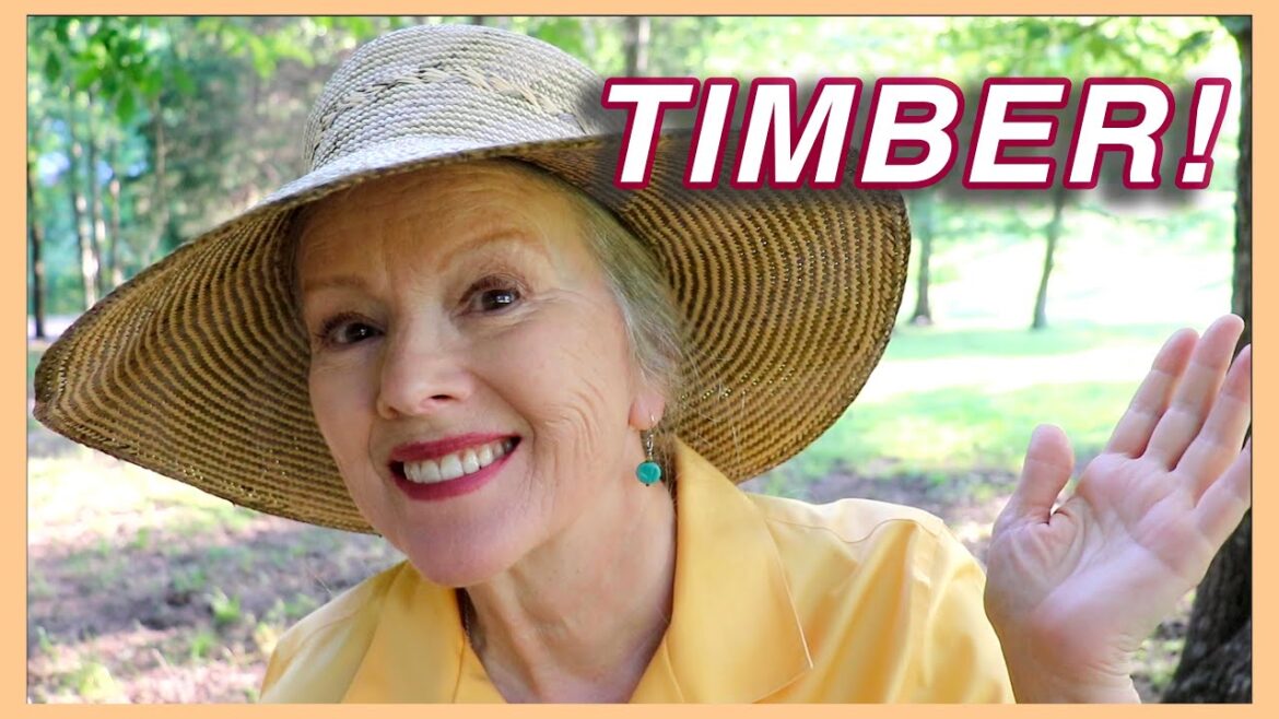 Kaye Kittrell: I needed this done for a YEAR! Tour Part2 + Felling Trees I needed this done for a YEAR! Tour Part2 + Felling Trees