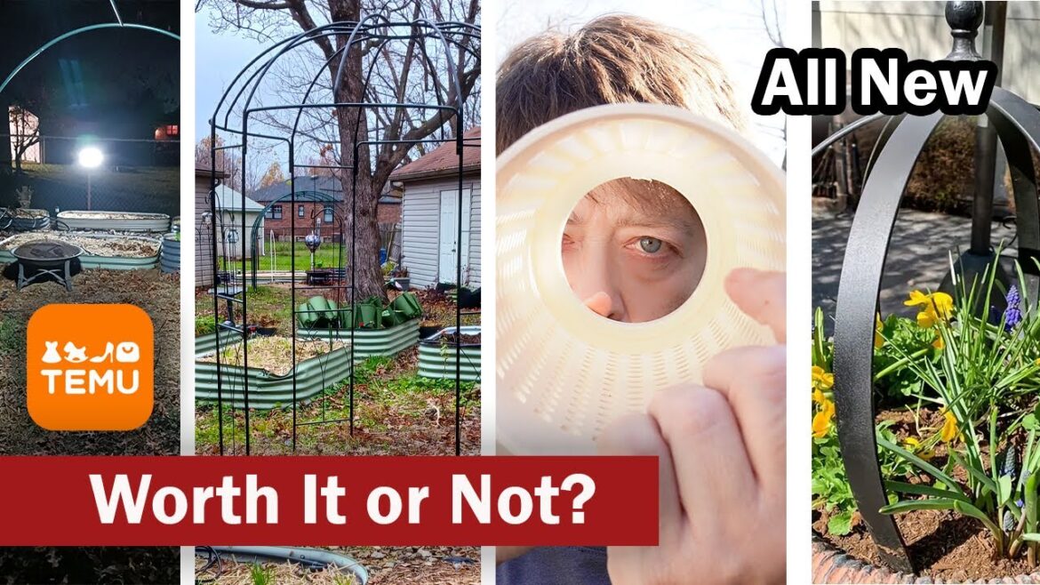 Temu Garden Haul: Can Temu REALLY Help You Create Your Dream Garden? Temu Garden Haul: Can Temu REALLY Help You Create Your Dream Garden?