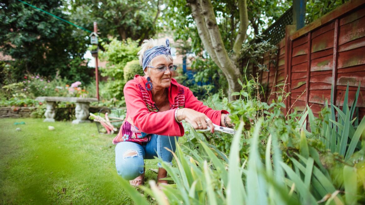 I’m a gardening expert, my £10 tricks will totally transform your garden with minimum effort but will have a high impact