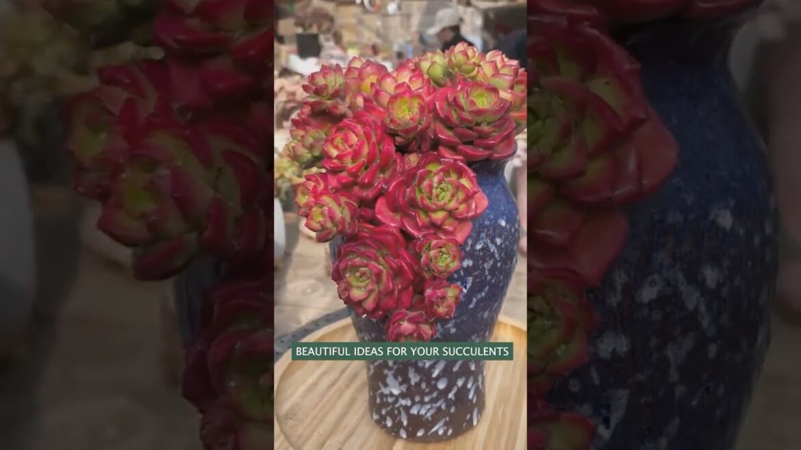 Stunning Succulent Arrangement & Plant Garden Ideas Stunning Succulent Arrangement & Plant Garden Ideas