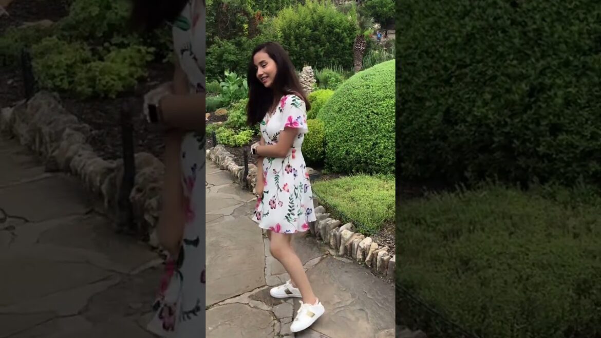 #dindindingandai #japanesegarden