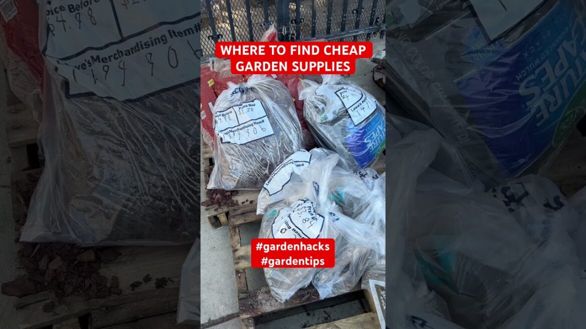 Cheap Garden Supplies Half Off at Lowe’s! #gardeningtips #gardenhacks  #backyardgardening