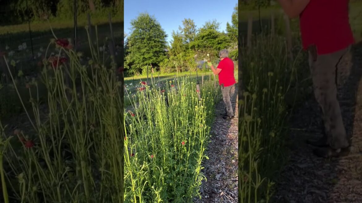 Yearend Sale ends tonight! Comment SHOP and I’ll DM the link to my store Yearend Sale ends tonight! Comment SHOP and I’ll DM the link to my store