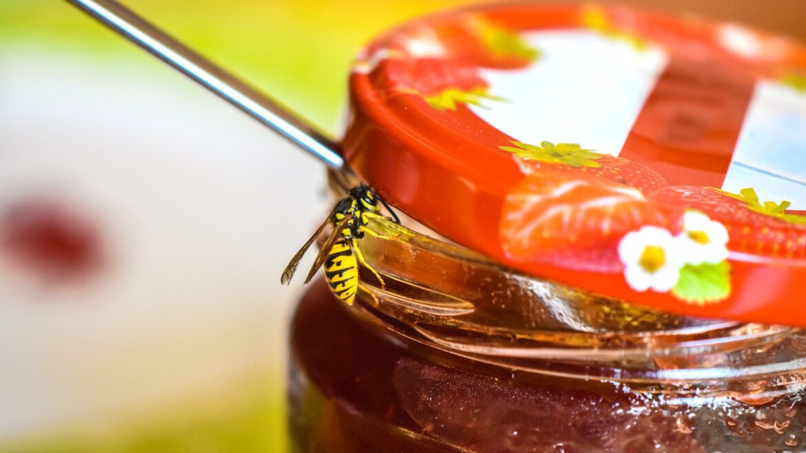 I'm a gardening expert, my 22p hack will banish wasps from your garden and it's probably already in your cupboard