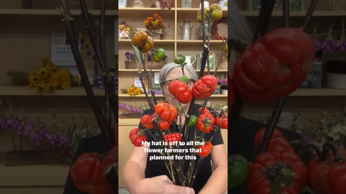 Pumpkin on a Stick! Plan space in your garden for this fun ornamental Pumpkin on a Stick! Plan space in your garden for this fun ornamental