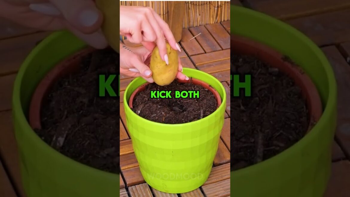 He knocked himself out cold. One of the greatest things I ever saw #askreddit He knocked himself out cold. One of the greatest things I ever saw #askreddit