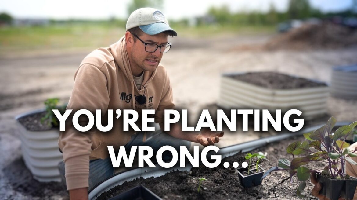 Do NOT Plant These Crops DEEP!