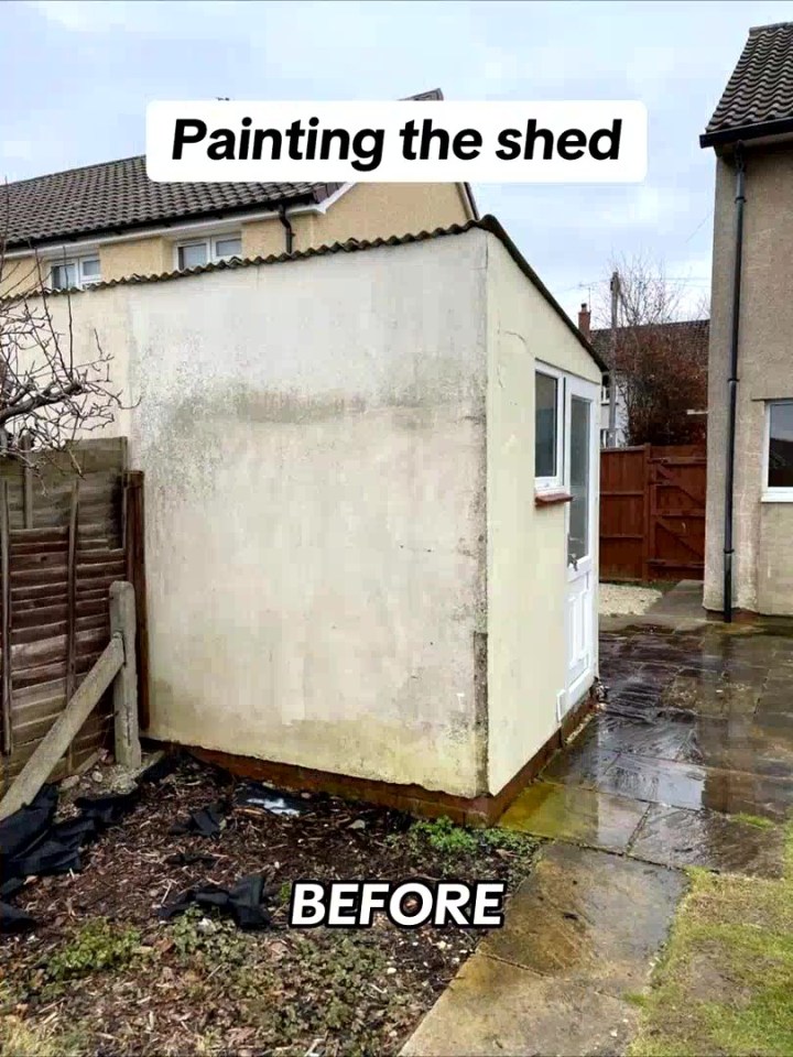 Before photo of shed painting project.