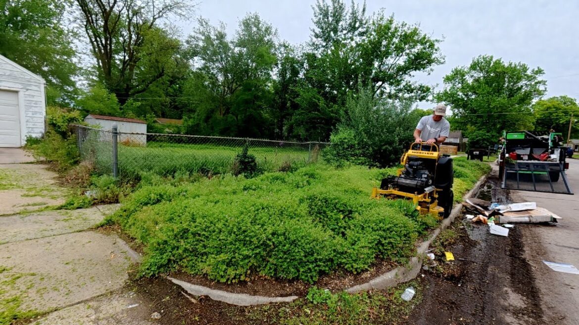 Neighborhood SHOCKED At This Lawn Transformation After Grandma Passed Away