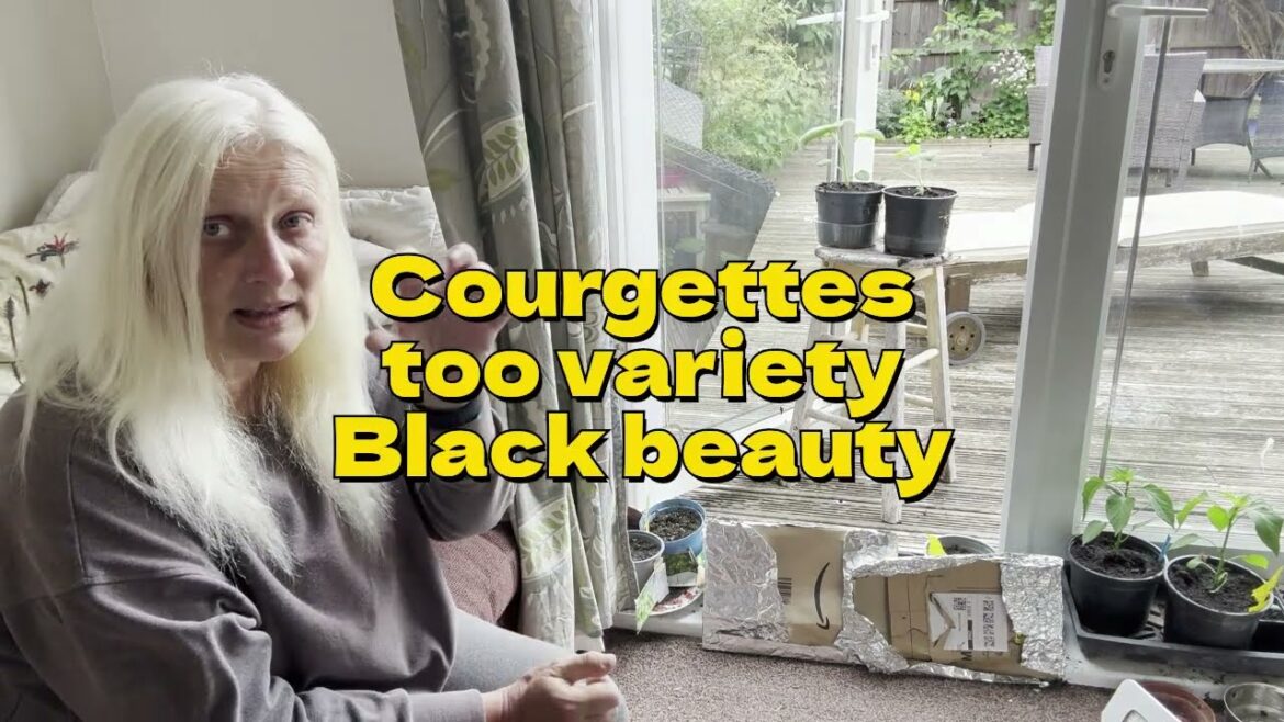 Home Garden annual cuttings rooted for the home garden catchup chat the allotment plan plant out Home Garden annual cuttings rooted for the home garden catchup chat the allotment plan plant out