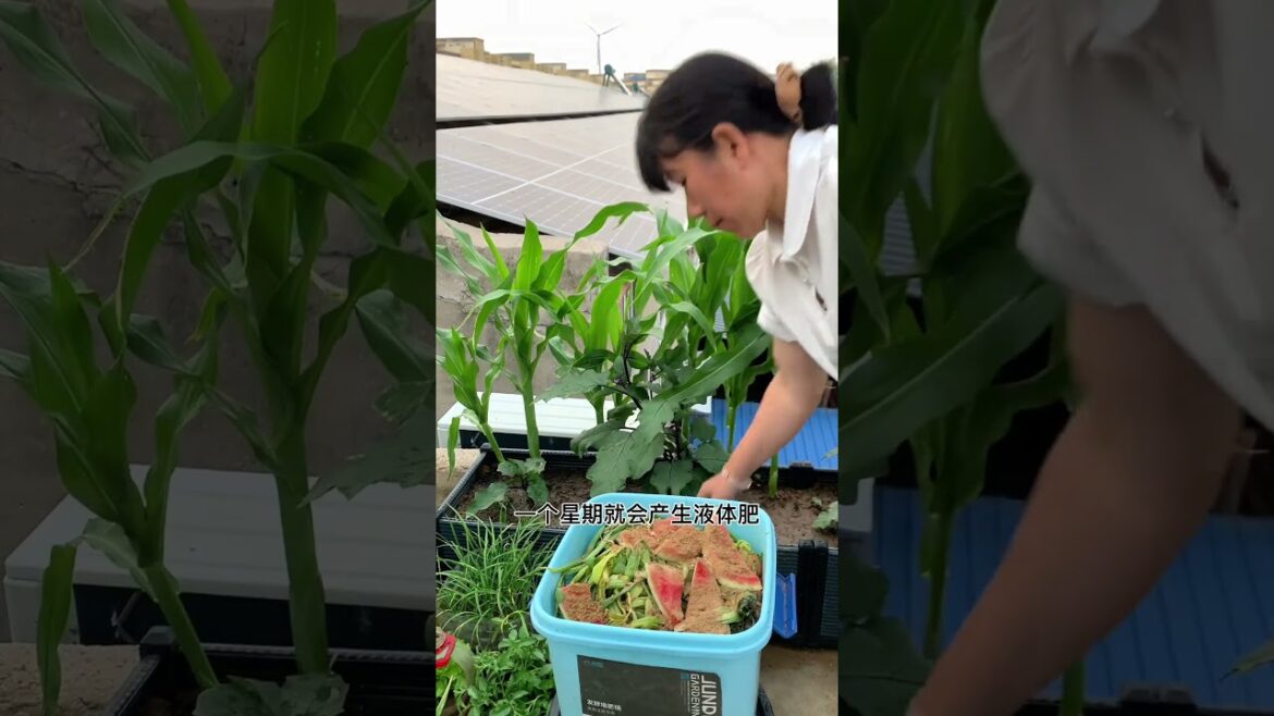 #compost #organicfertilizer #turnwasteintotreasure #homemadecompost#wasteutilization