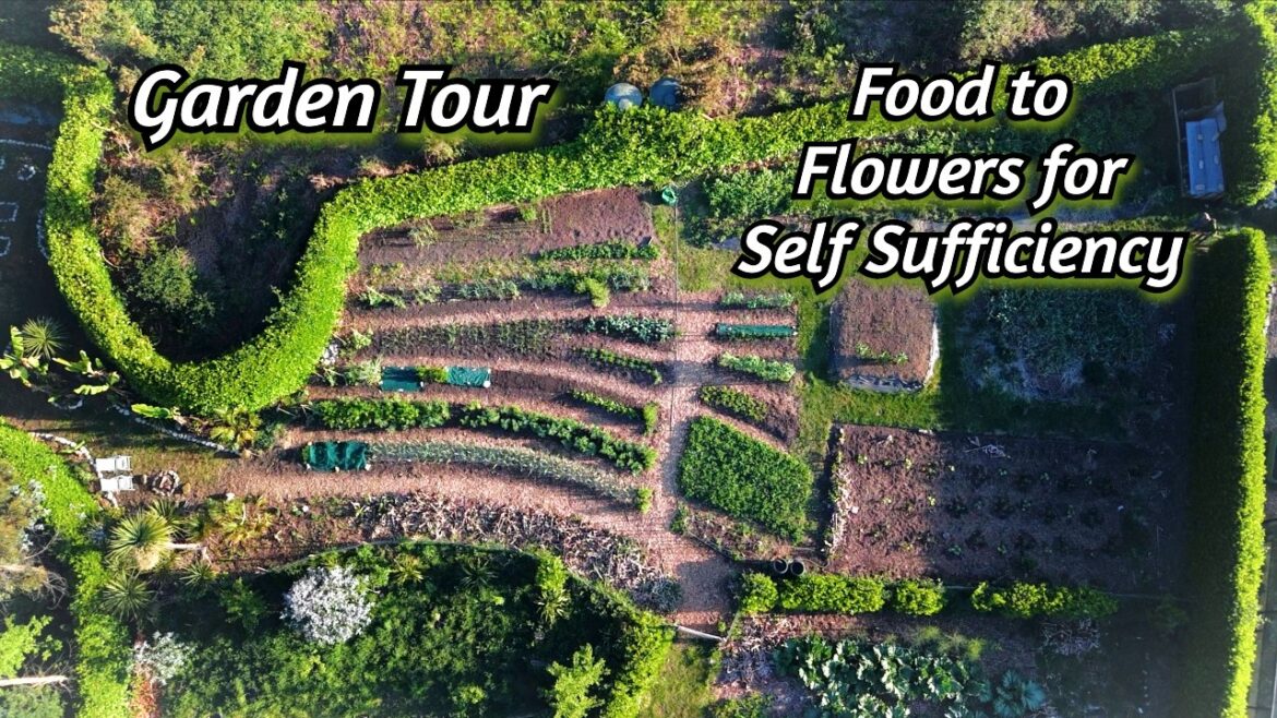 Living Off Our Land GARDEN TOUR | Self-Sufficiency Gardening & Plant Inspiration - UK