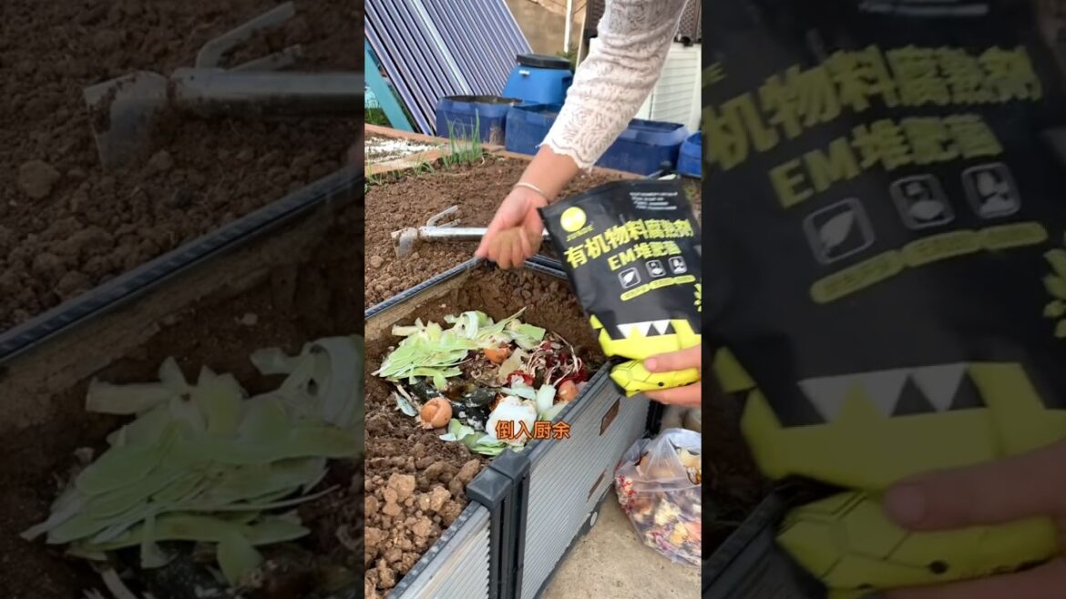 #Planting tips #Growing vegetables at home #Soil improvement#Homemade compost #Grow your own natural