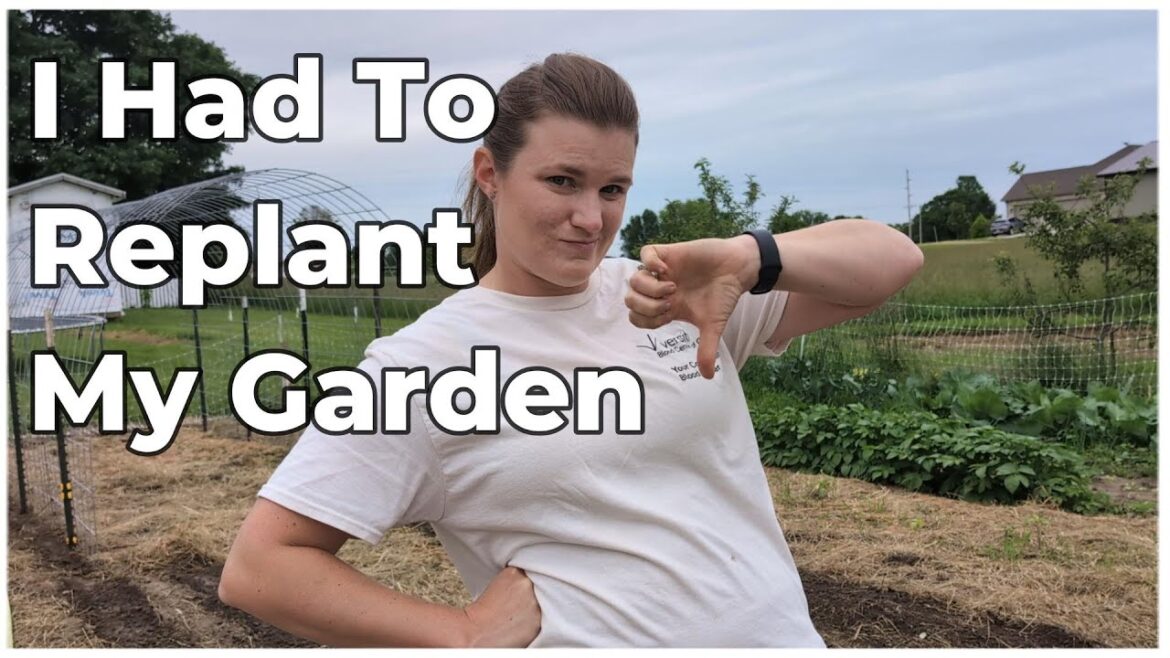 Replanting My Garden | Bad Indiana Weather is Ruining My Plans | Family Friendly Channel Ep. 97