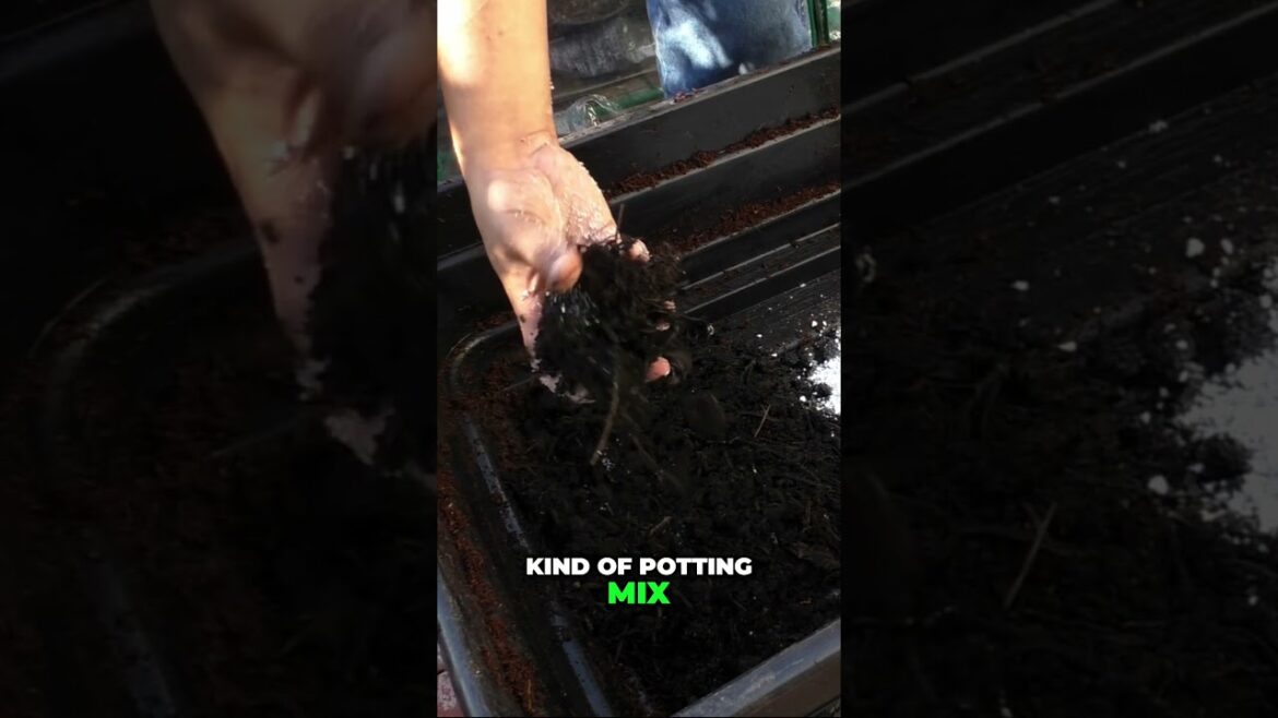 Best Compost Substitutes: Coconut Coir, Soil, Manure & Worm Castings Explained! 🌱