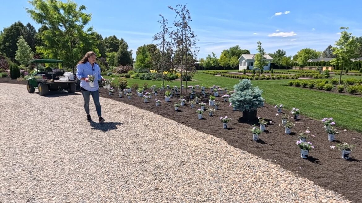 Planting the New for 2026 Powerball Hydrangeas, Annuals & the Foxglove We Started From Seed! 🙌🌿😍