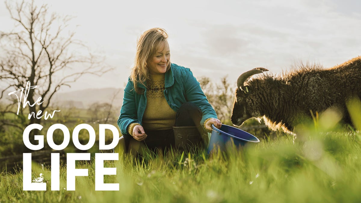 preview for The New Good Life