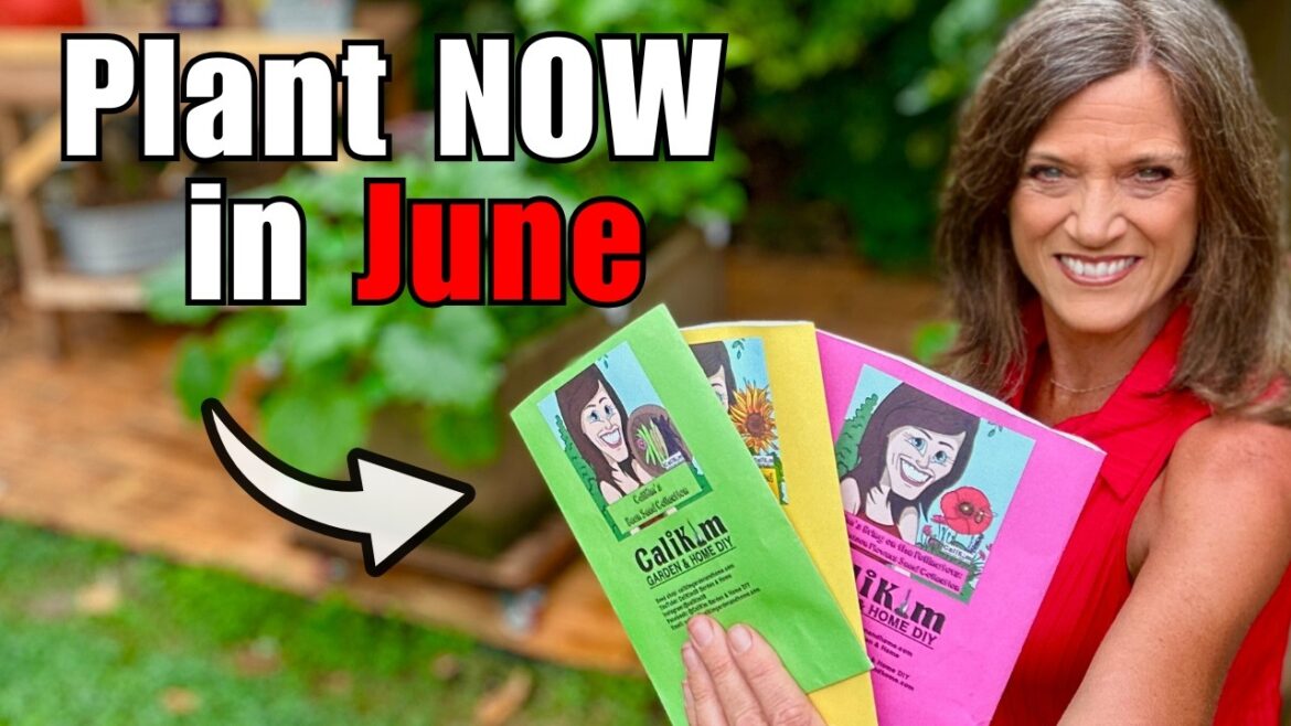 CaliKim: 20 JUNE Vegetables to Plant NOW (NOT Too Late) 20 JUNE Vegetables to Plant NOW (NOT Too Late)