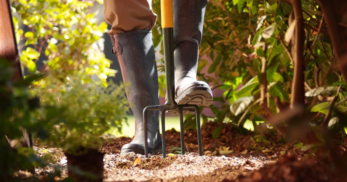 Heavy-duty 7-piece gardening tool set worth £150 is discounted to less than £100 Ipso logo