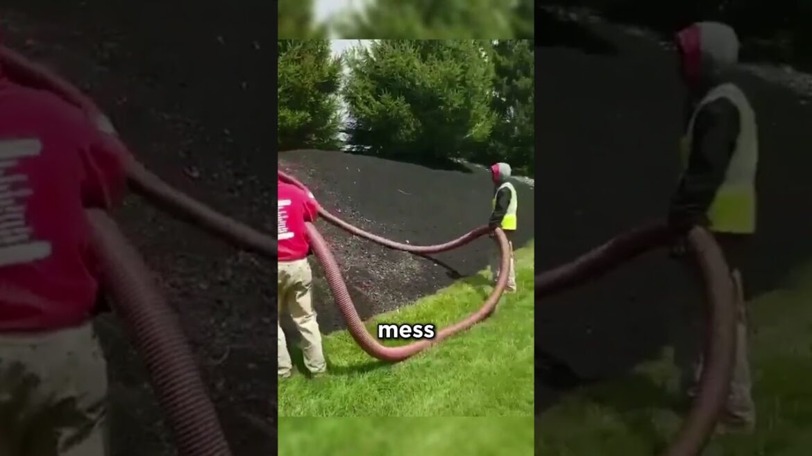 Genius Landscaping Trick! 🤯 Genius Landscaping Trick! 🤯