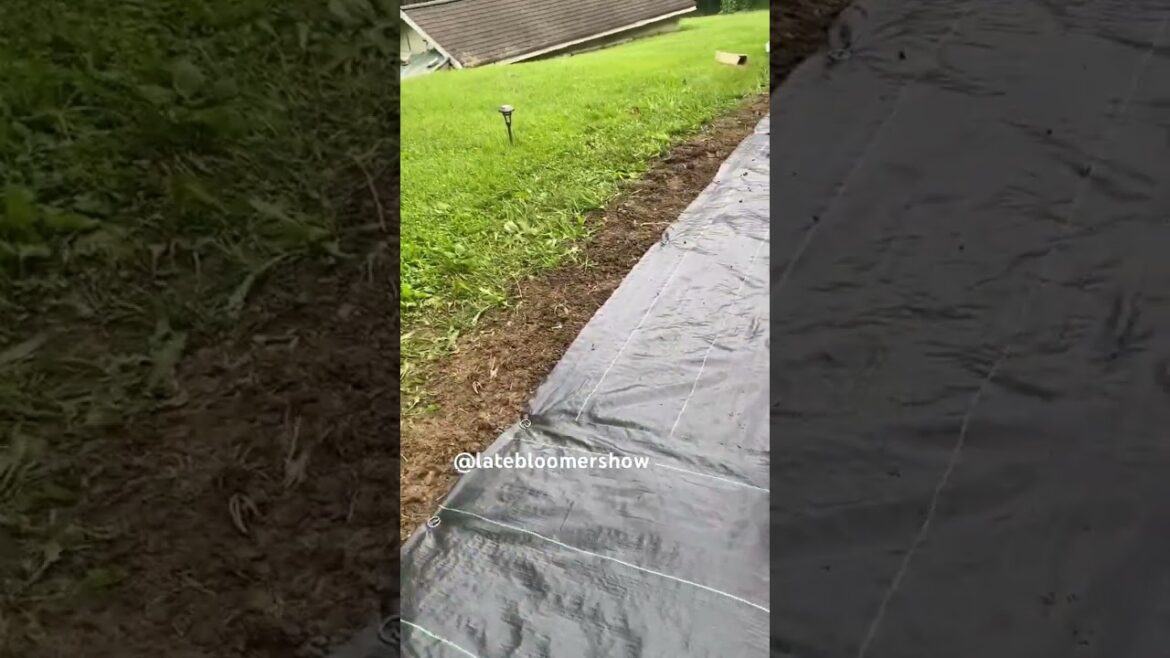 Weed cloth to the rescue! #gardening #weedcontrol