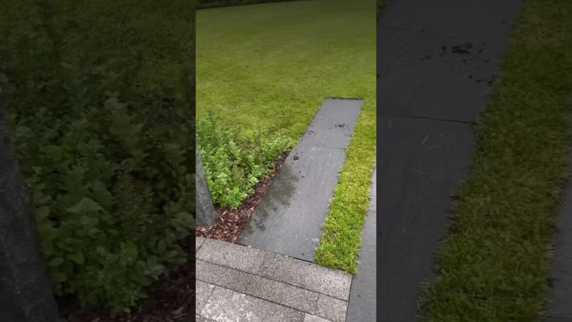 Стильное и современное решение для участка 🔥