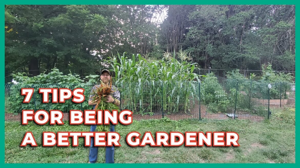 7 Tips For Being A Better Gardener