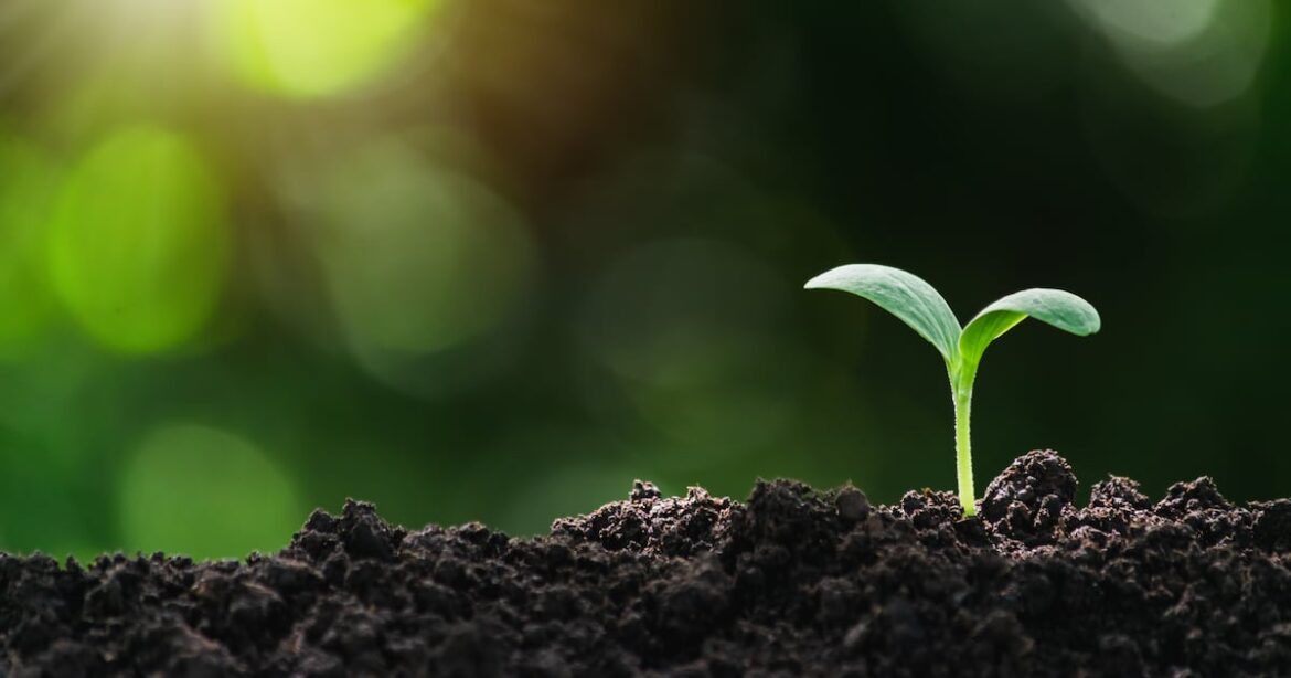 The deadline for getting plant starts and seeds into the ground has arrived. Don’t delay The deadline for getting plant starts and seeds into the ground has arrived. Don’t delay