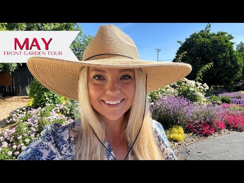 May Front Garden Tour! (with Before & Afters!) 🌿 Zone 9 California Garden May Front Garden Tour! (with Before & Afters!) 🌿 Zone 9 California Garden