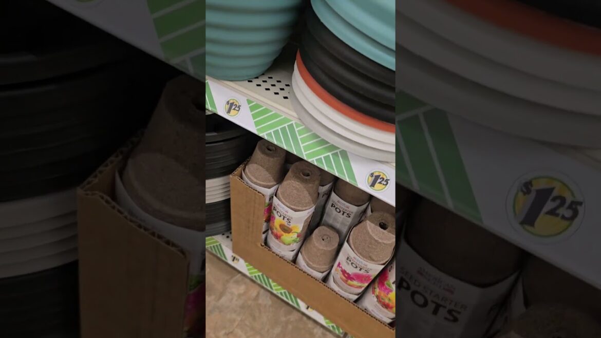 Garden Supplies from the Dollar Store #budgetgardening