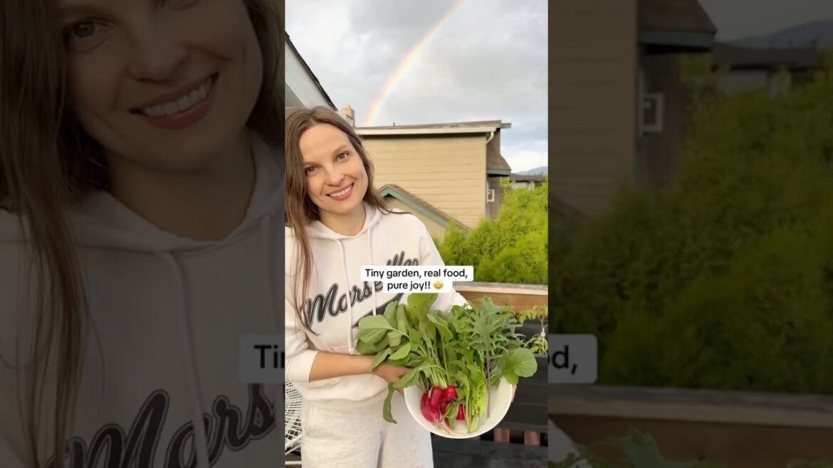 First balcony harvest of the year!! #music #planting #gardendesign #garden #ediblegardening #radish￼