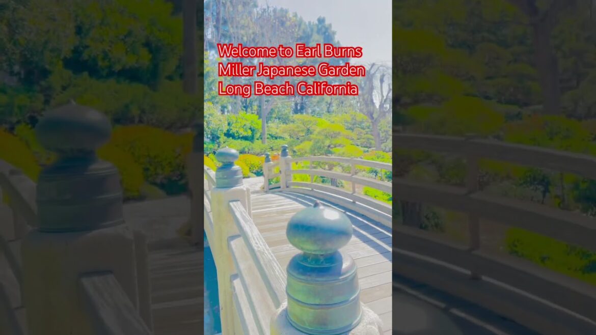 #viralshort #flowers #trendingshorts #gardening #japanese garden #shorts