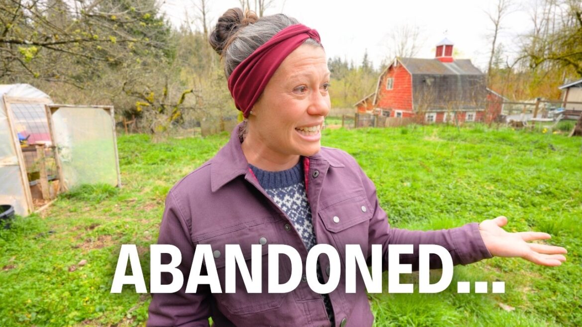 5 Years Later...An Emotional Tour of My First Garden