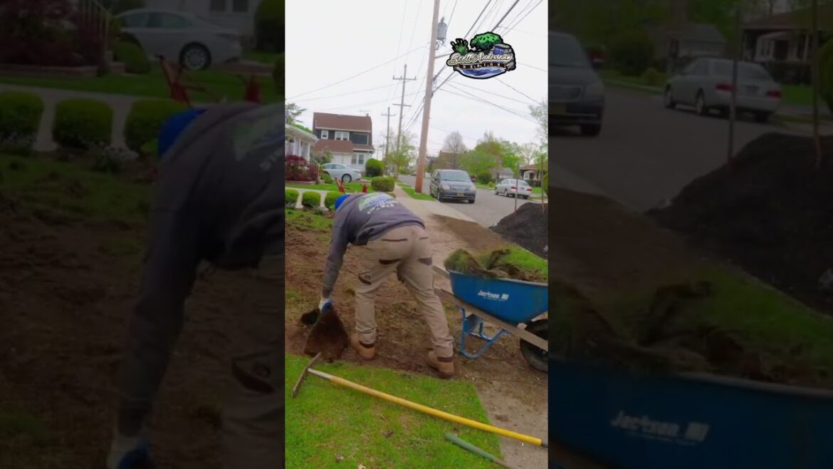 Watch This Stunning Front Yard Transformation 🌸 | Landscaping & Planting