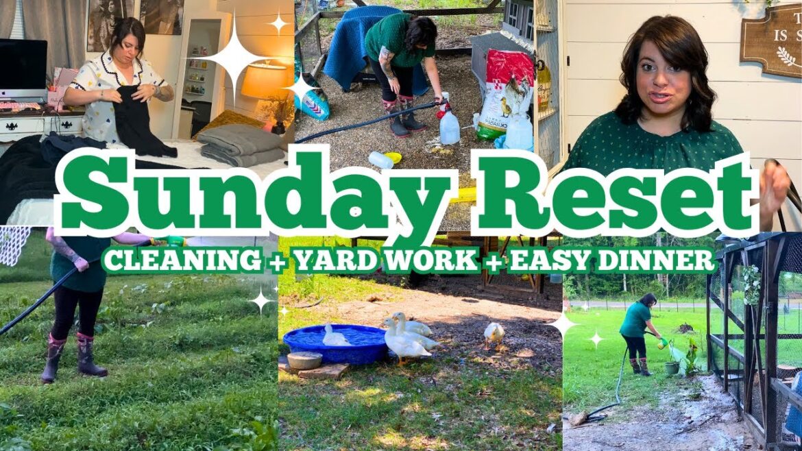 Sunday Reset | Garden Tour, Flower Bed Plans, and Homestead Life Update 🌿 Homemaking & Simple Living Sunday Reset | Garden Tour, Flower Bed Plans, and Homestead Life Update 🌿 Homemaking & Simple Living