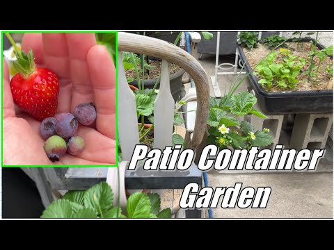 Spring Patio Container Garden Tour, GreenStalk Planter Unboxing, Mixing Potting Soil for better Spring Patio Container Garden Tour, GreenStalk Planter Unboxing, Mixing Potting Soil for better