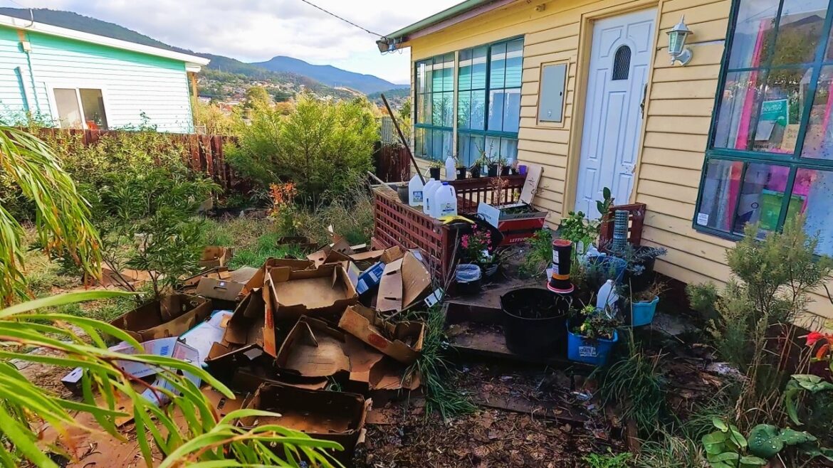 Don't Make This BIG MISTAKE in Your Yard Like This Homeowner Did!!!