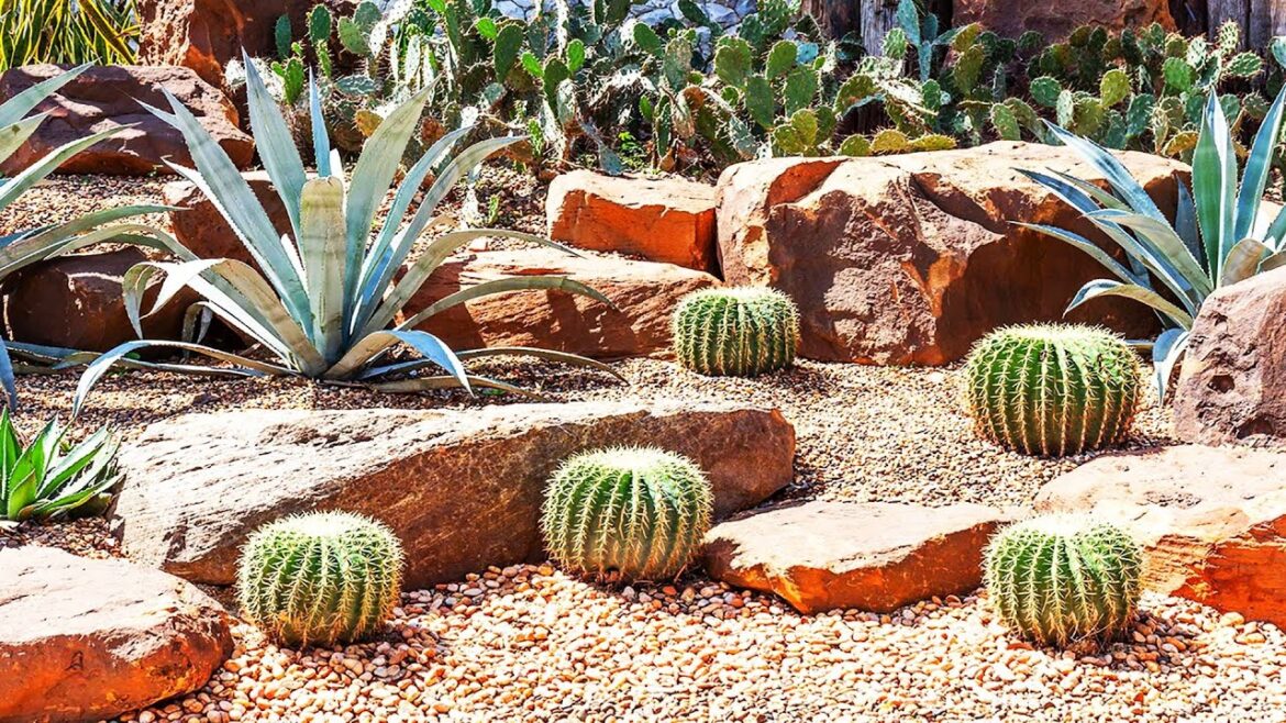 BACKYARD XERISCAPE GARDEN LANDSCAPING DESIGN IDEAS | HOW TO BUILD ECOFRIENDLY LOW MAINTENANCE GARDEN BACKYARD XERISCAPE GARDEN LANDSCAPING DESIGN IDEAS | HOW TO BUILD ECOFRIENDLY LOW MAINTENANCE GARDEN