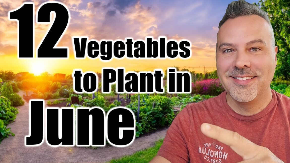 12 Crops to Direct Sow in June, Wherever You Live!