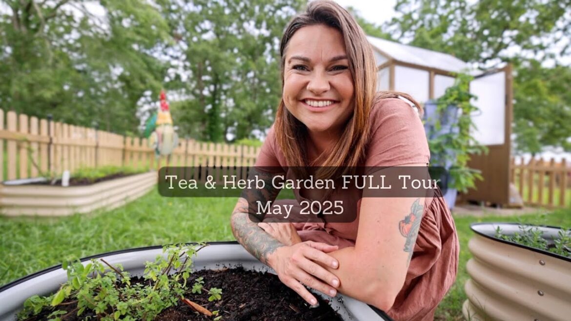 Welcome to my TEA & HERB GARDEN | Full Tour