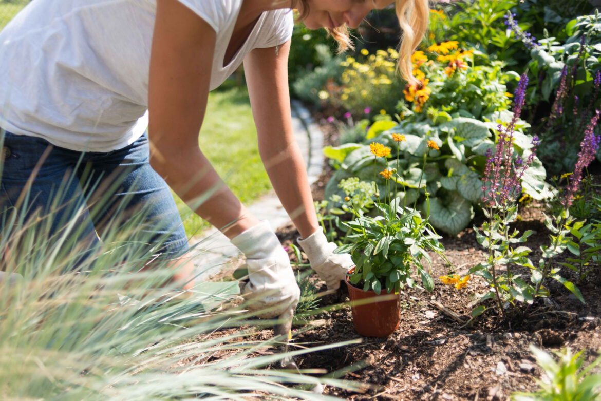 Get your yard and garden summer ready with YardSmart