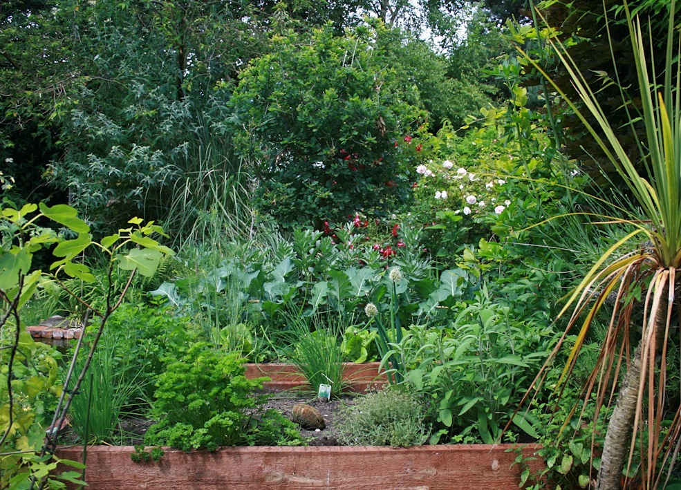 Knutsford back garden by Gwyneth Roberts