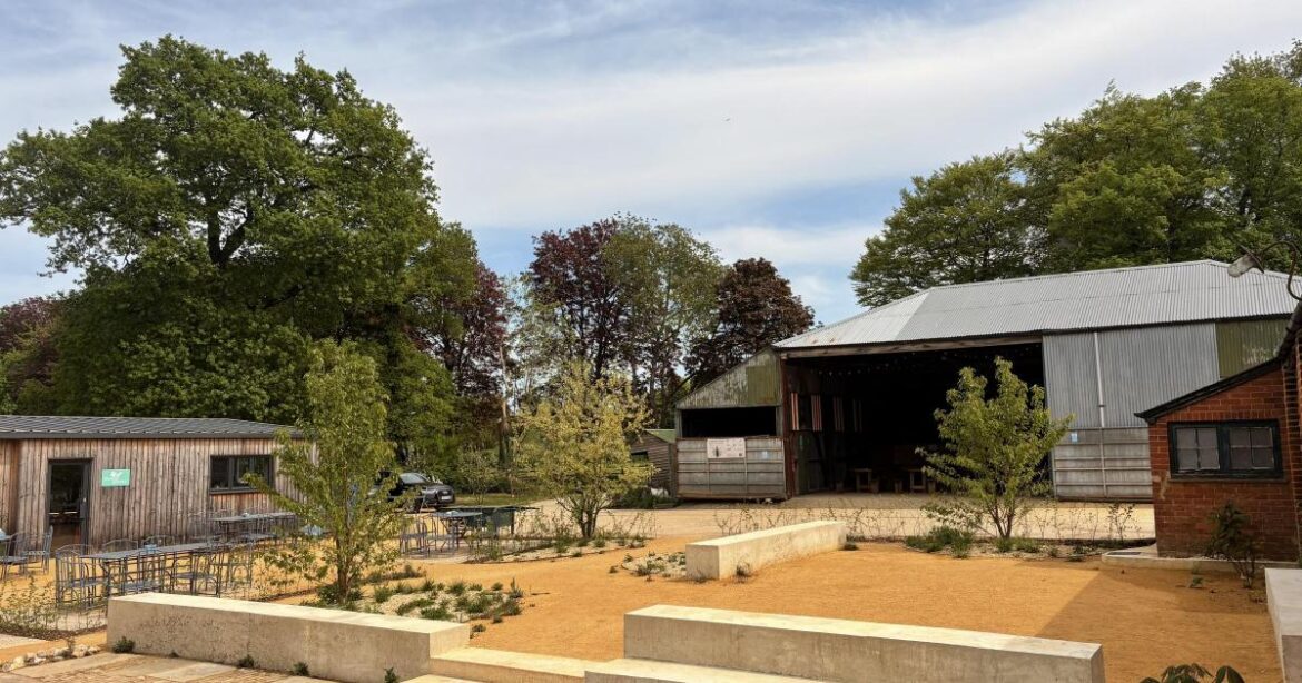 Dummer Down Brewery: Spring Party to launch new garden Dummer Down Brewery: Spring Party to launch new garden