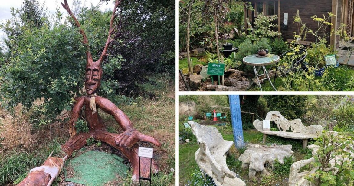 Extraordinary Northumberland botanical garden among UK best Extraordinary Northumberland botanical garden among UK best