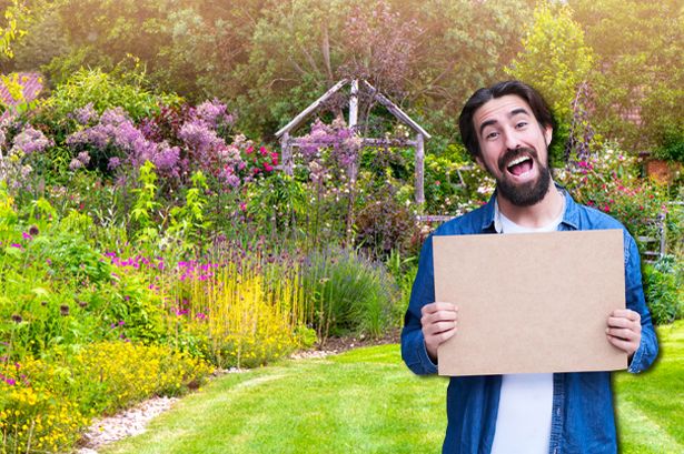 A man in a garden with some cardboard
