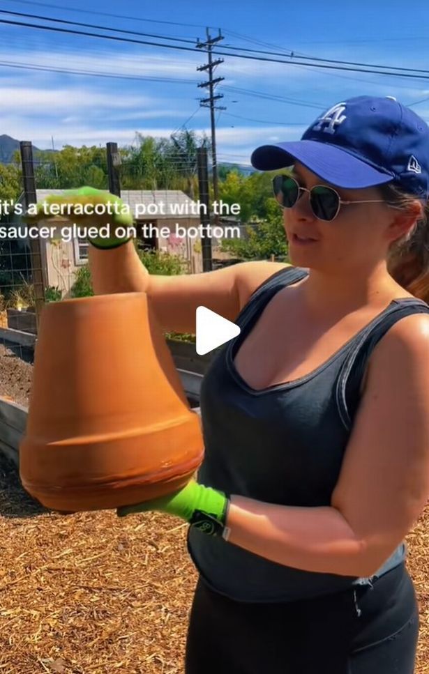 TikTok video about ollas