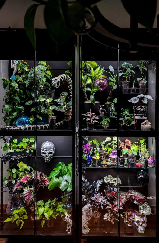 Cleaned and reorganized the cabinets today! A little busy but it's okay.