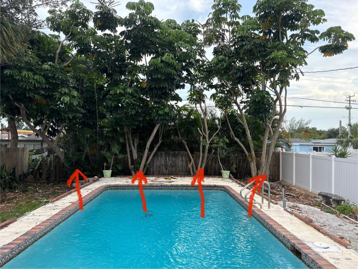 $2,000 to remove 4 Trees. Reasonable price? $2,000 to remove 4 Trees. Reasonable price?