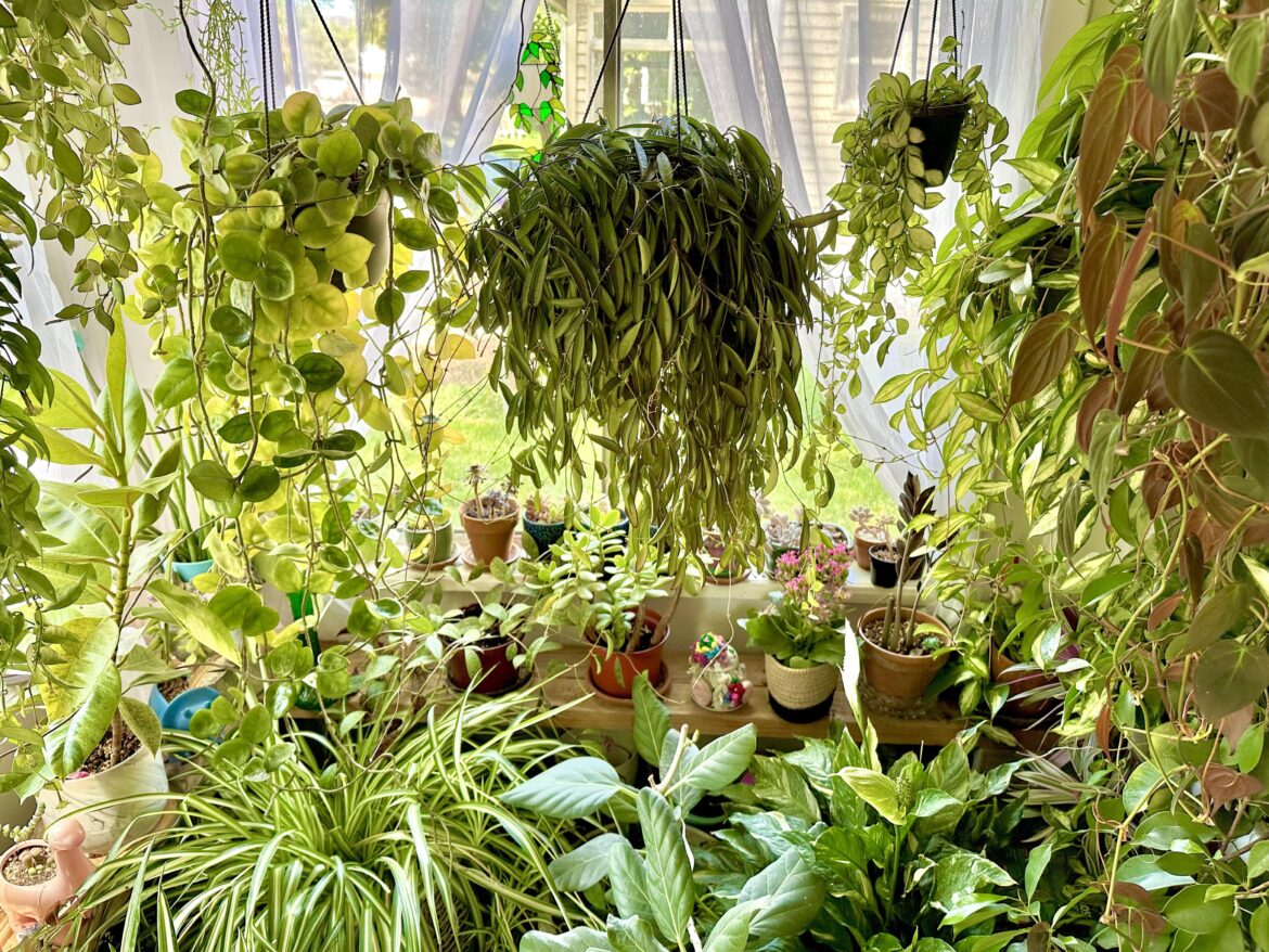 Spring on the porch.