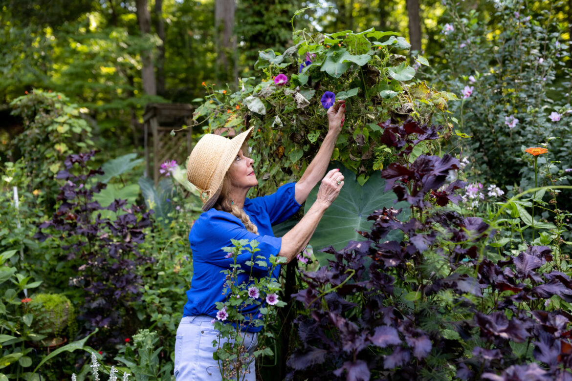 This Winston-Salem Garden Connects Four Generations of Moms and Daughters – Garden & Gun A woman reaches for flowers in a garden